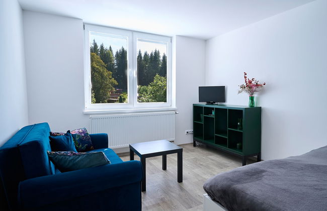 Apartamento de 3 quartos em Harrachov com jardim - Foto 18