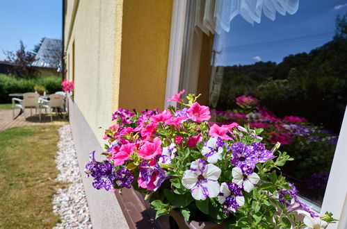 Foto 5 - Apartment in Svoboda nad Úpou mit garten und blick auf die berge