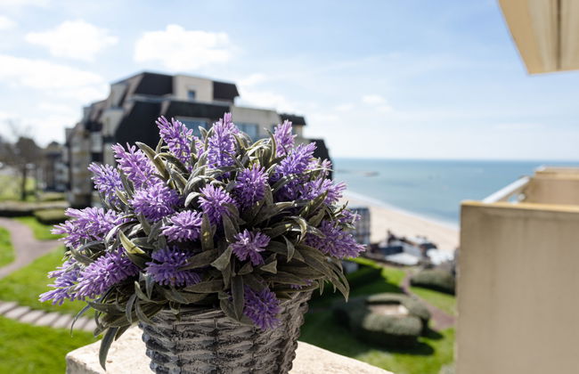 Apartamento de 2 quartos em Trouville-sur-Mer com terraço - Foto 3