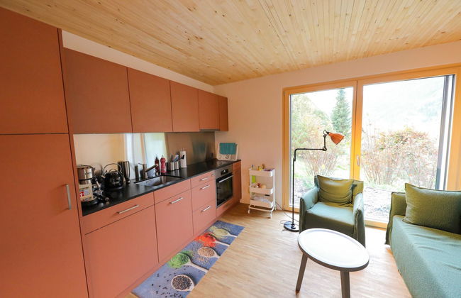 Apartamento de 1 quarto em Zweisimmen - Foto 8