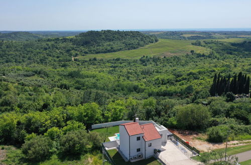 Photo 14 - Maison de 3 chambres à Buje avec piscine privée et jardin