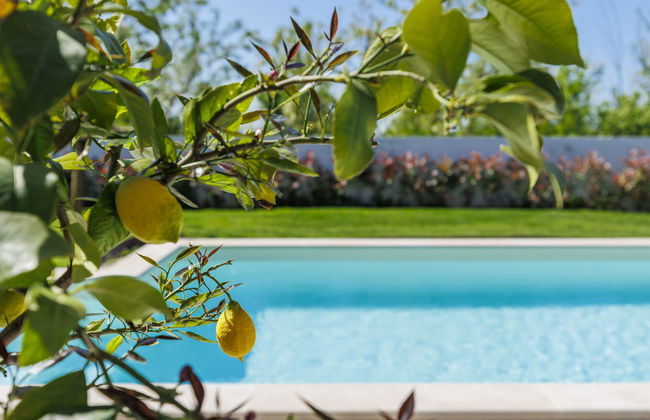 Casa de 4 quartos em Buje com piscina privada e jardim - Foto 43