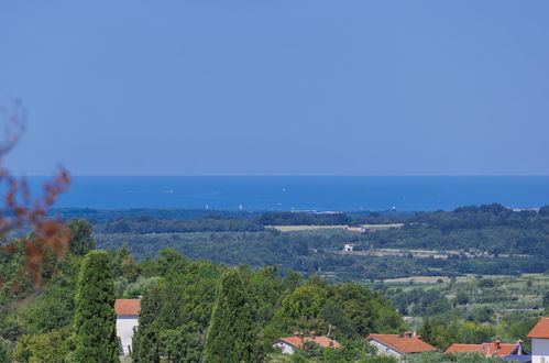 Foto 37 - Casa con 3 camere da letto a Buje con piscina privata e vista mare