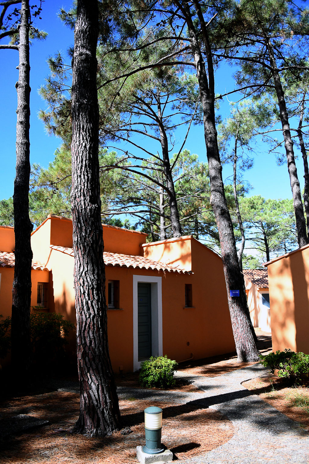 Photo 13 - Maison de 1 chambre à Borgo avec piscine et jardin