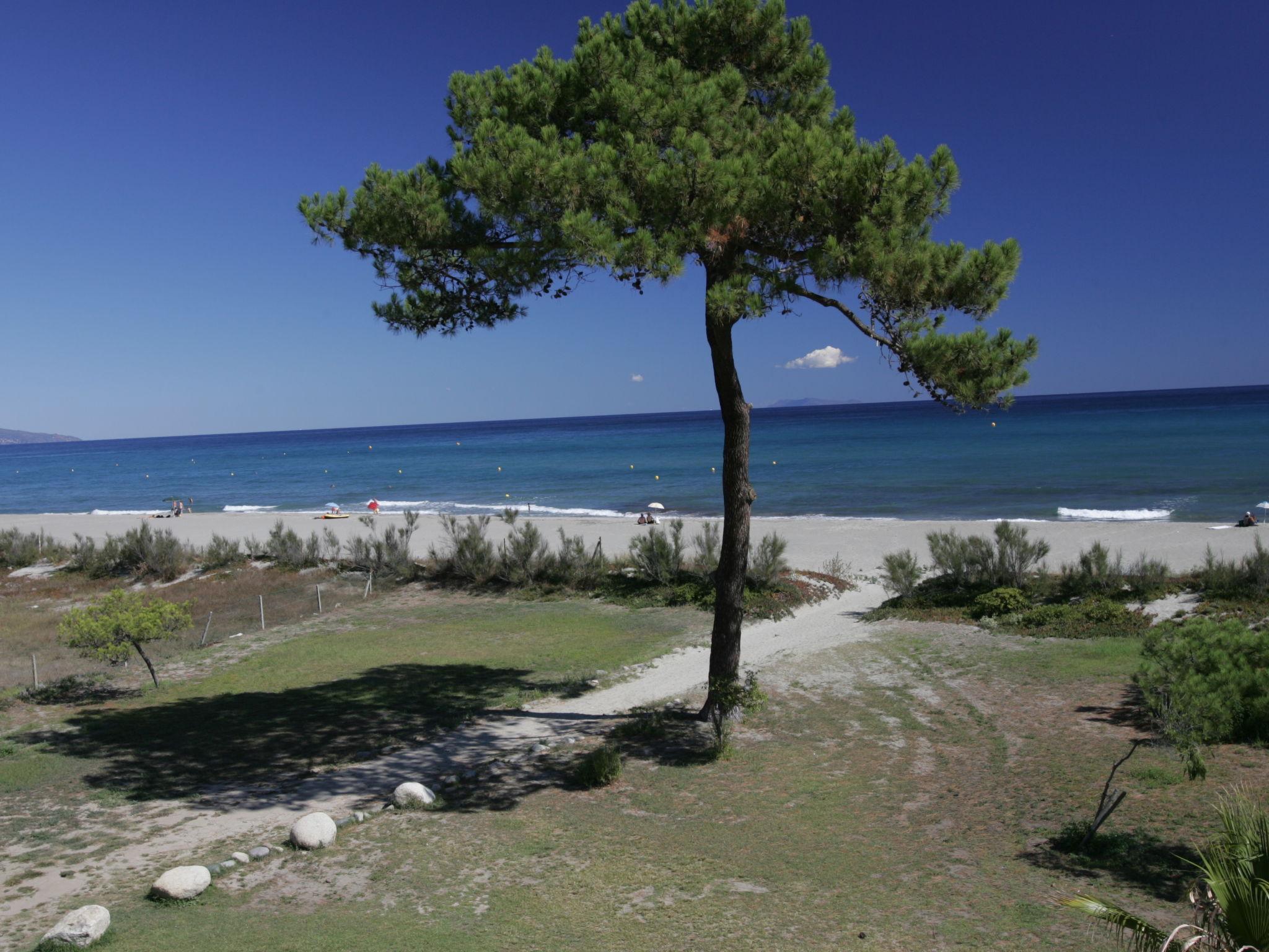 Foto 14 - Haus in Borgo mit schwimmbad und blick aufs meer