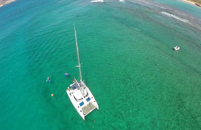 Excursión en catamarán a la Isla de Lobos desde el Puerto de Corralejo - Foto 5