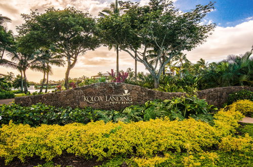 Photo 19 - Koloa Landing Resort at Poipu,Autograph Collection