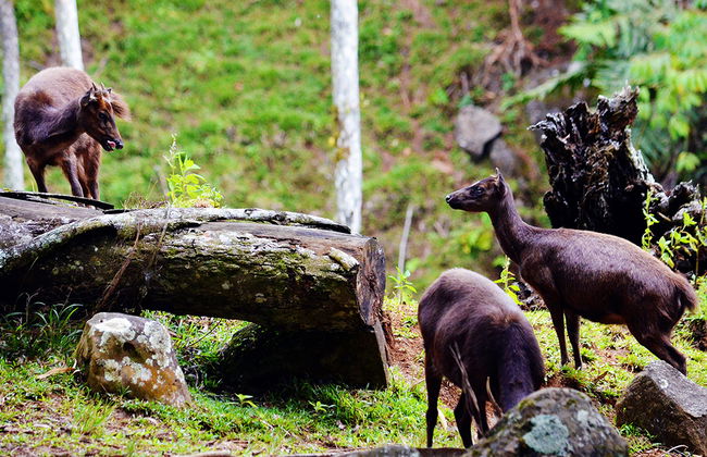 Parque Natural Eden con aperitivos ligeros - Foto 4