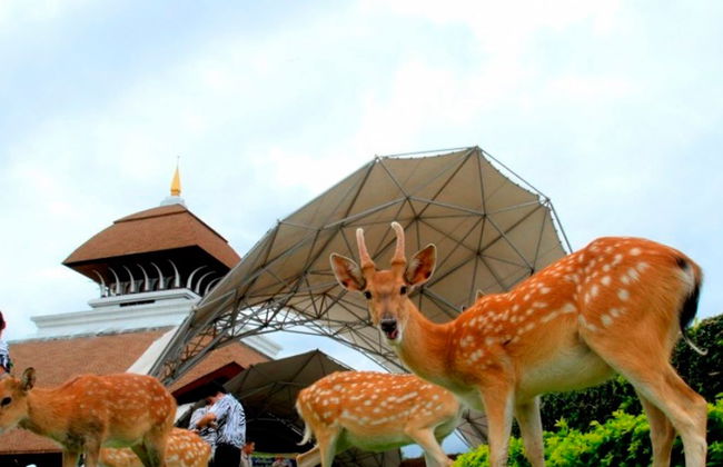 Chiang Mai Night Safari - Billet - Photo 3
