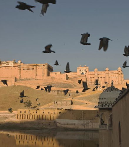 Photo – Full Day City Tour with Amber Fort