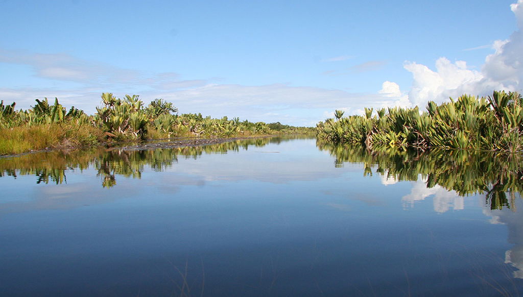 Pangalanes channels - Photo 1