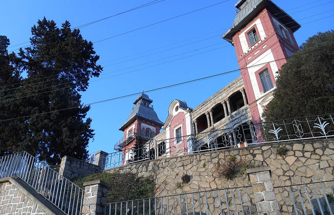 Tour della città e Zoo di Tsimbazaza - Foto 4