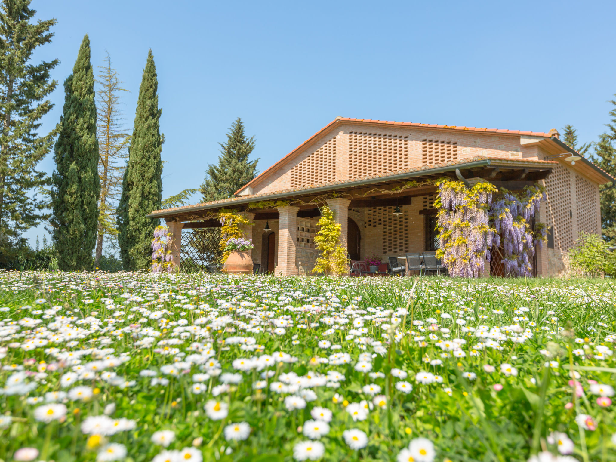 Foto 16 - Apartamento de 3 quartos em Peccioli com piscina e jardim