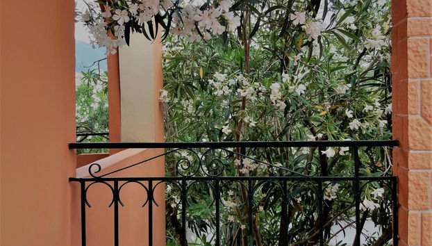 Ziogas Luxury Apartment's - Foto 2