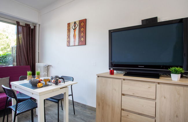 Apartamento de 1 quarto em Cagnes-sur-Mer com jardim e terraço - Foto 11