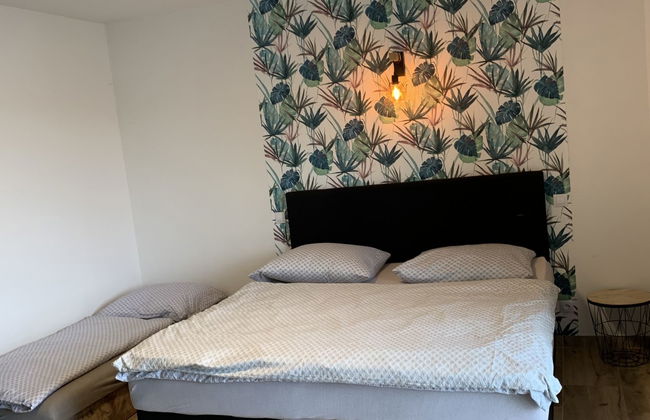 Apartamento de 2 quartos em Županovice com piscina e jardim - Foto 9