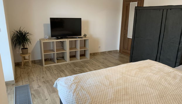 Appartamento con 2 camere da letto a Županovice con piscina e giardino - Foto 2