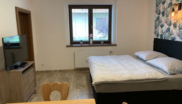 Appartamento con 2 camere da letto a Županovice con piscina e giardino - Foto 4