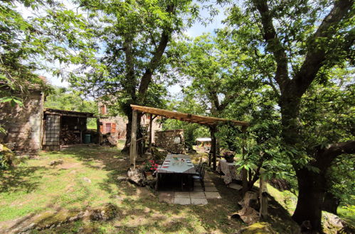 Photo 29 - Maison de 3 chambres à Roccastrada avec jardin et terrasse