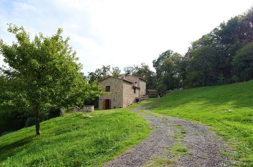 Foto 37 - Casa con 3 camere da letto a Roccastrada con giardino e terrazza