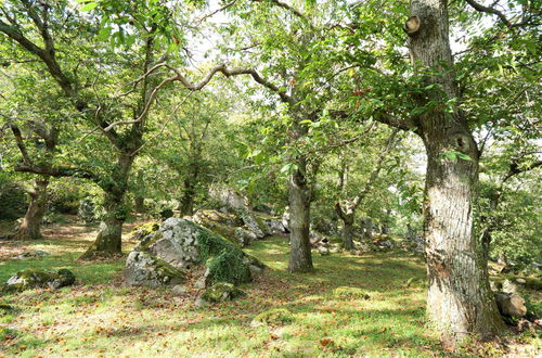 Foto 38 - Casa de 3 quartos em Roccastrada com jardim e terraço