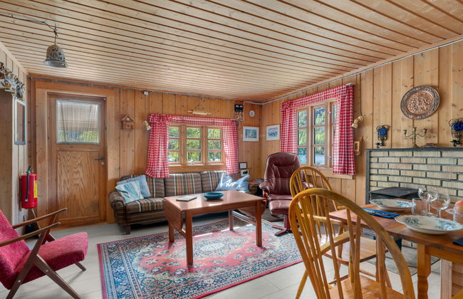 Haus mit 3 Schlafzimmern in Åseral mit garten und terrasse - Foto 9