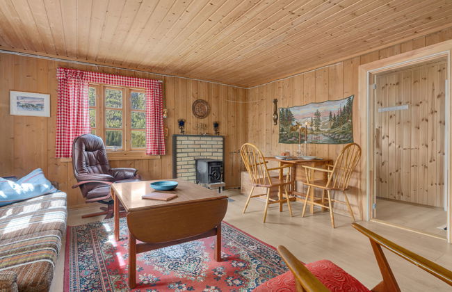 Haus mit 3 Schlafzimmern in Åseral mit garten und terrasse - Foto 3