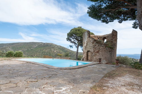 Foto 19 - Casa de 2 quartos em Bormes-les-Mimosas com piscina privada e vistas do mar