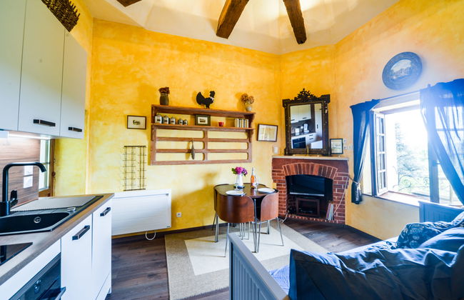 Casa de 1 quarto em Chissay-en-Touraine com jardim e terraço - Foto 6