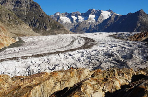 Foto 8 - Appartamento con 1 camera da letto a Riederalp