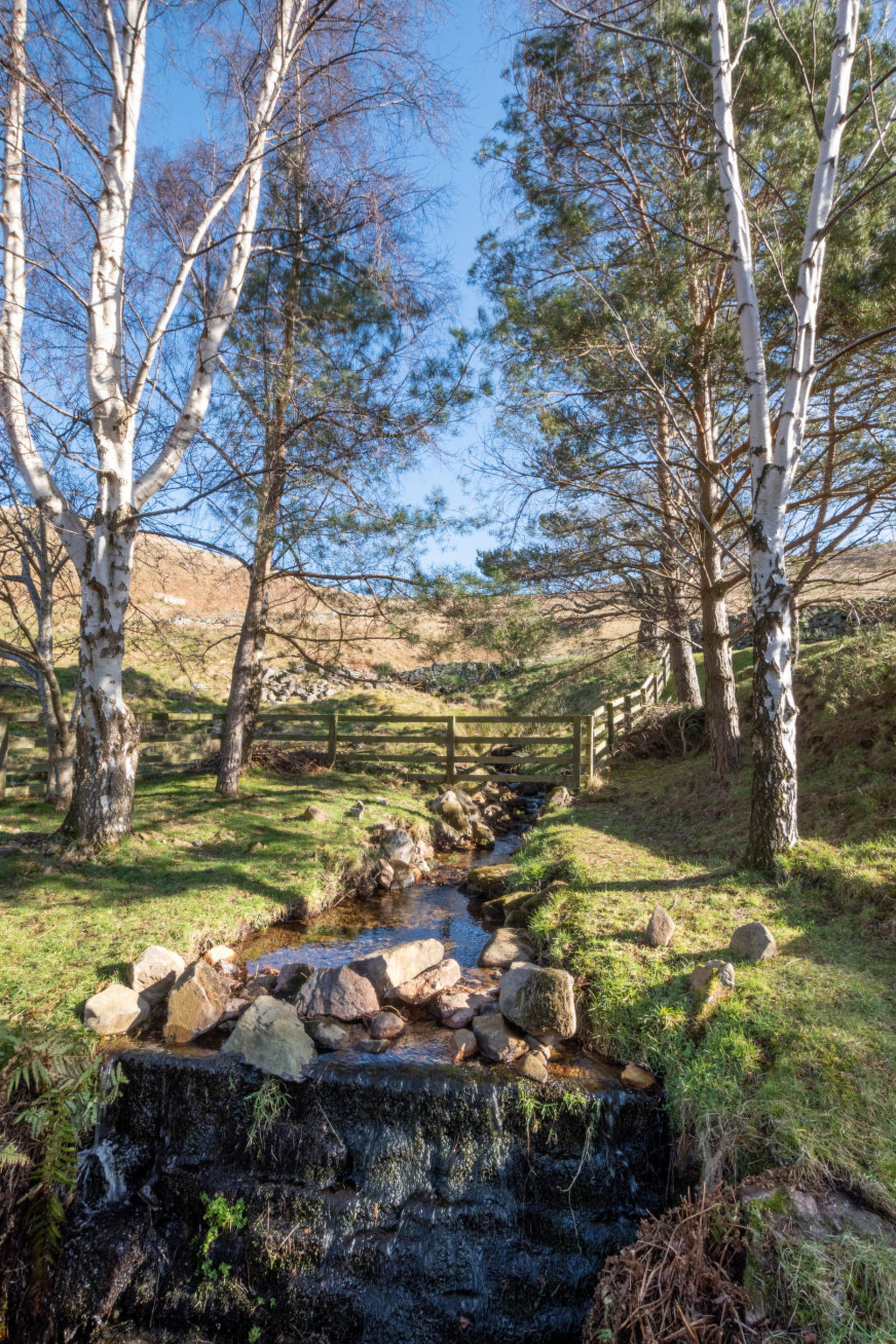 Photo 34 - 2 bedroom House in Wooler with garden