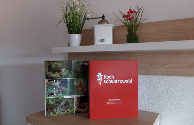 Appartement de 2 chambres à Schonach im Schwarzwald avec jardin - Photo 3