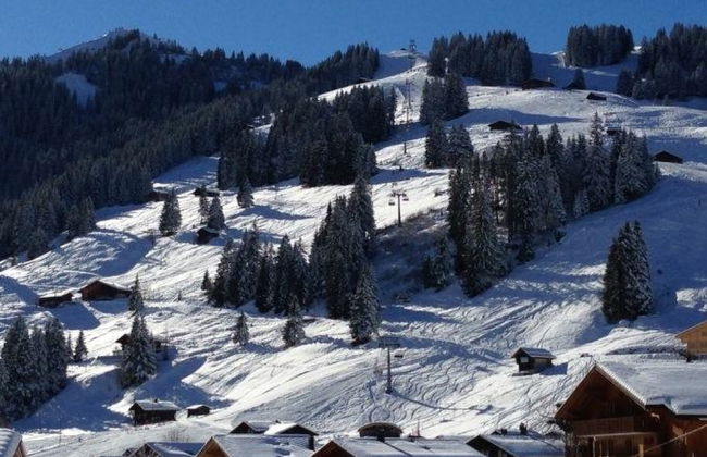 Apartamento de 3 quartos em Adelboden - Foto 13