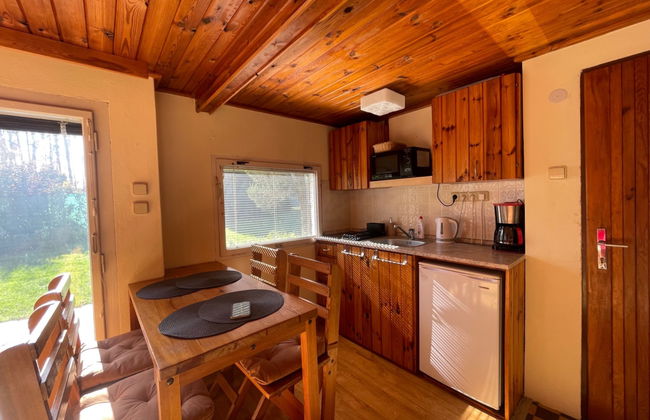 Casa de 2 quartos em Planá nad Lužnicí com jardim e terraço - Foto 3