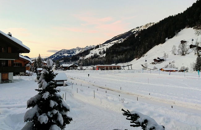 Apartamento de 2 quartos em Lenk - Foto 15