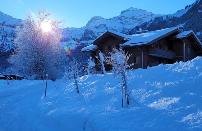 Apartamento de 2 quartos em Lenk - Foto 17