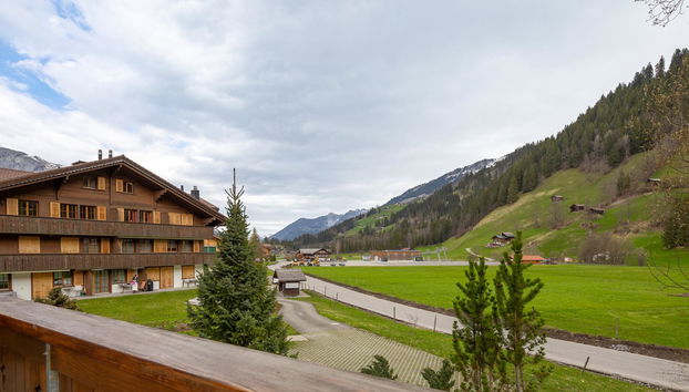 Apartment mit 2 Schlafzimmern in Lenk - Foto 4