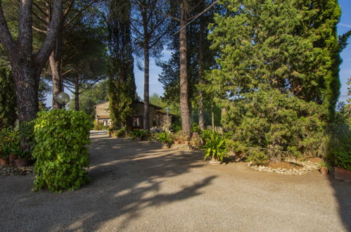 Photo 21 - Maison de 1 chambre à Palaia avec jardin et terrasse