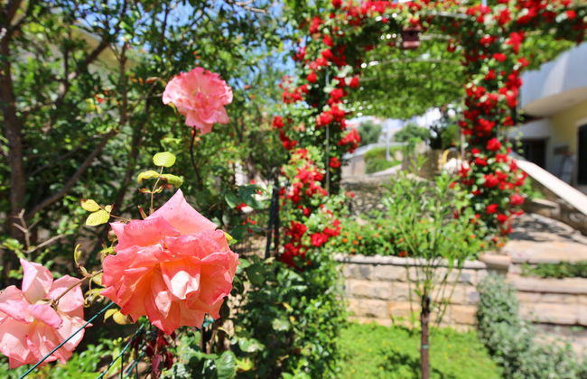 Villa Andjelka - Foto 33