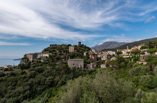 Foto 40 - Casa con 2 camere da letto a Nonza con giardino e terrazza