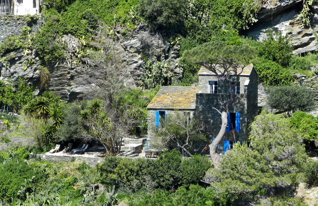 Casa de 3 quartos em Nonza com jardim e terraço - Foto 2