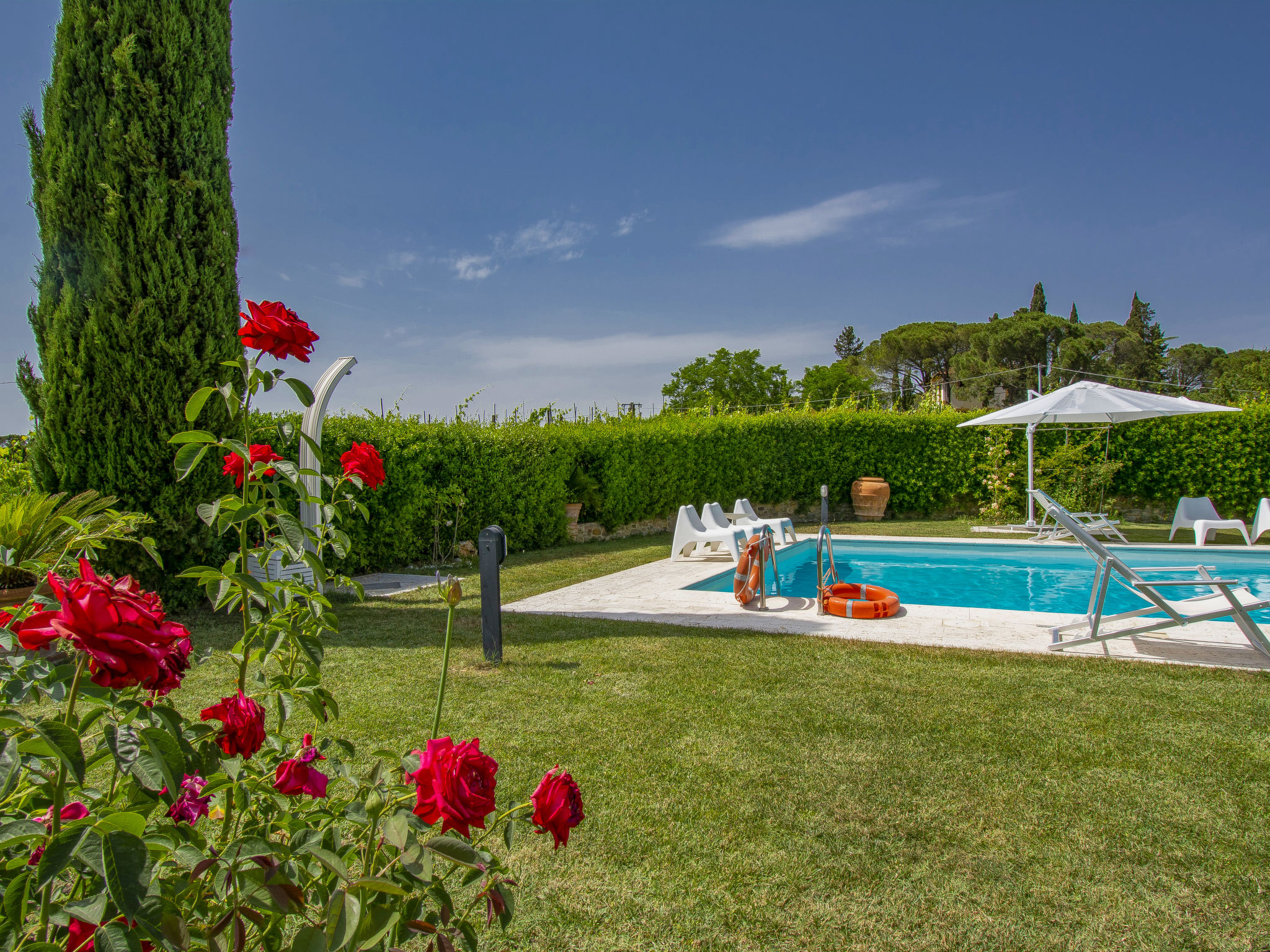 Photo 33 - Maison de 4 chambres à Castelfiorentino avec piscine privée et jardin