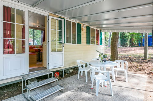 Photo 20 - Maison de 2 chambres à Aquilée avec piscine et jardin