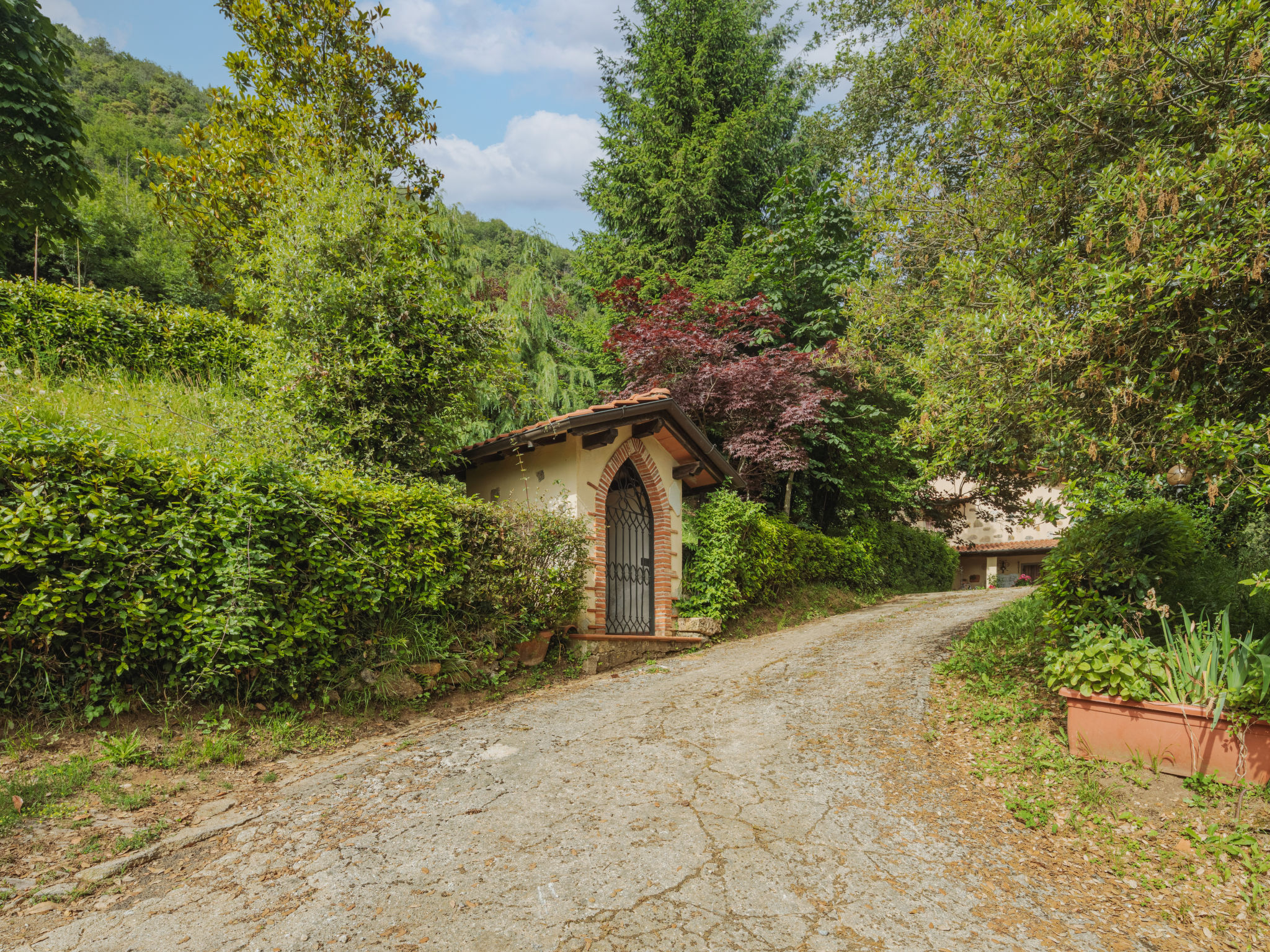 Photo 36 - Maison de 3 chambres à Camaiore avec jardin et vues à la mer