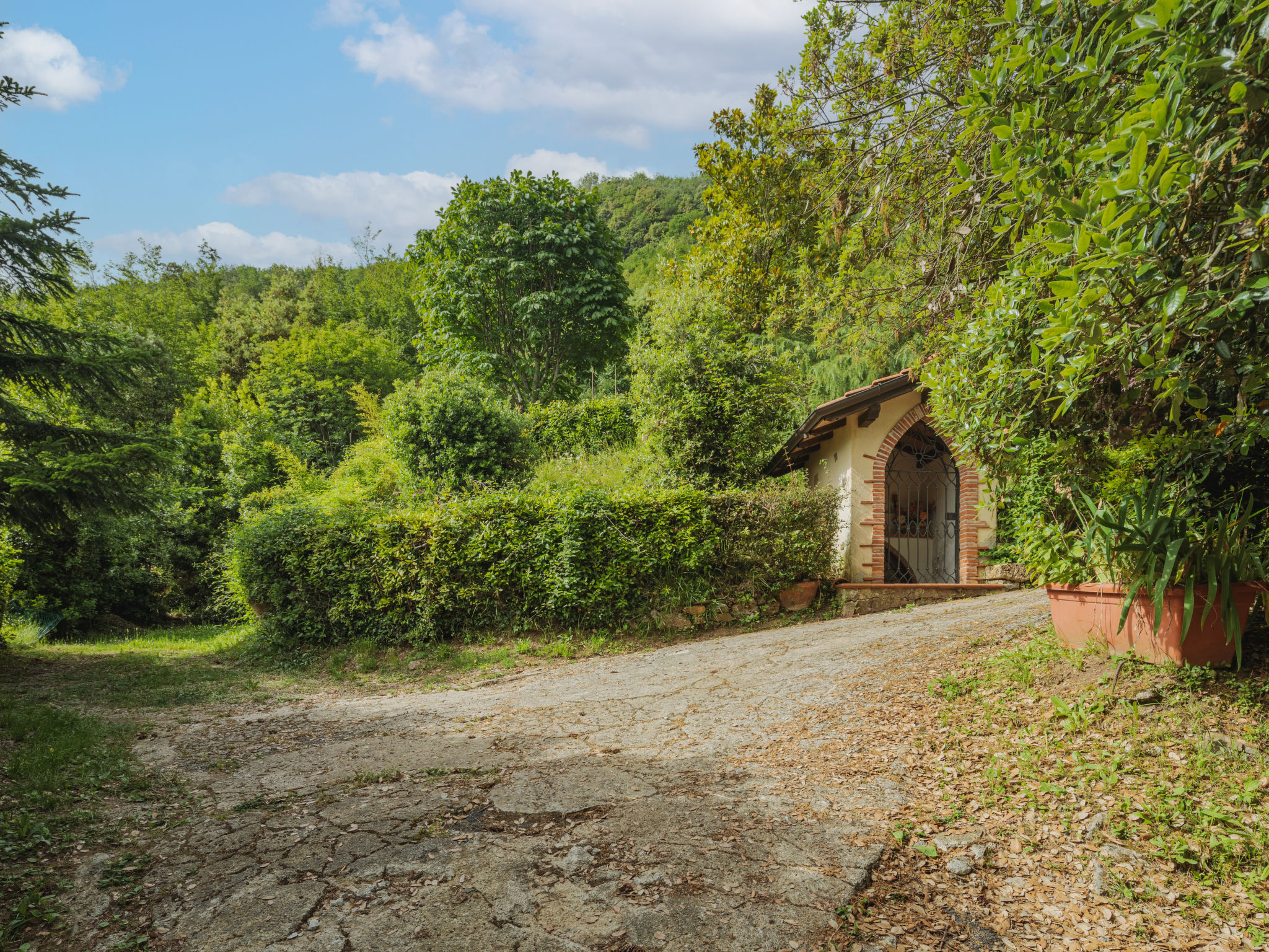 Photo 37 - 3 bedroom House in Camaiore with garden and terrace