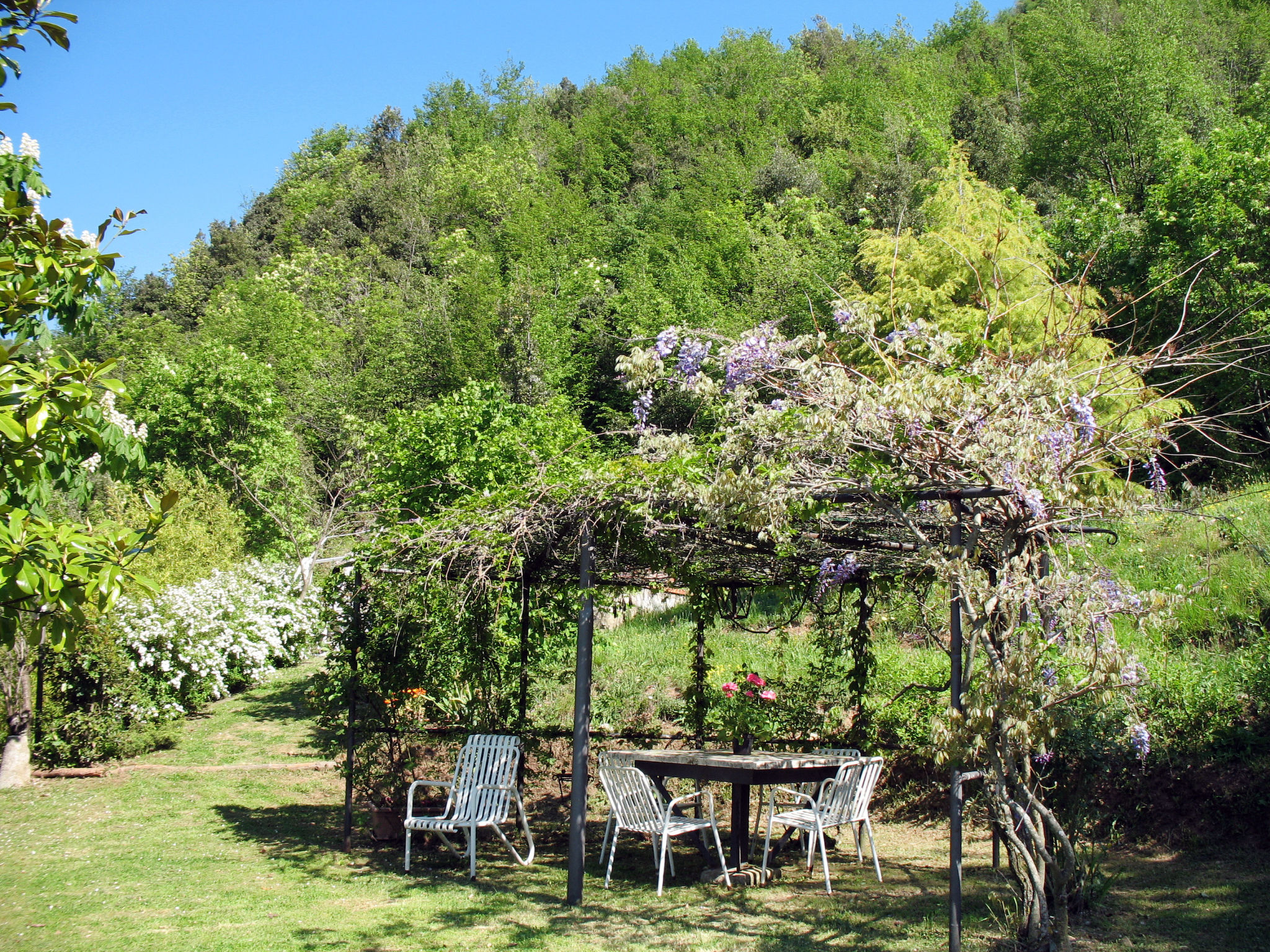 Foto 4 - Casa de 3 habitaciones en Camaiore con jardín y vistas al mar