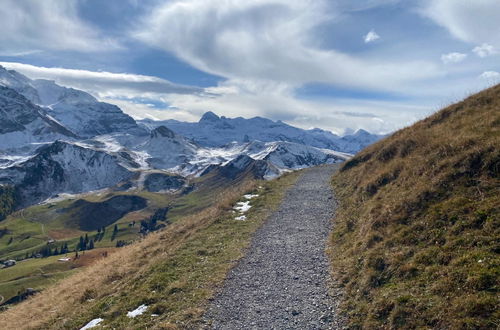 Foto 54 - Appartamento con 3 camere da letto a Adelboden