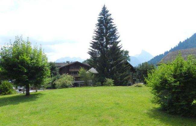 2 bedroom Apartment in Saanen - Photo 6