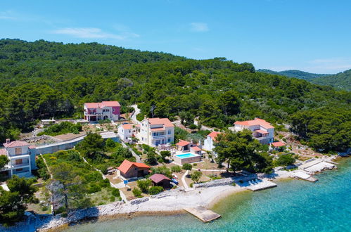 Foto 3 - Casa de 4 habitaciones en Zadar con piscina privada y jardín