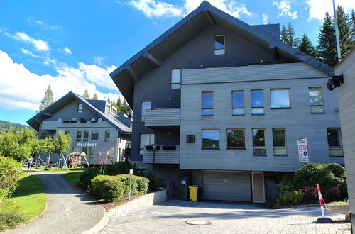Foto 40 - Apartamento de 1 quarto em Harrachov com jardim